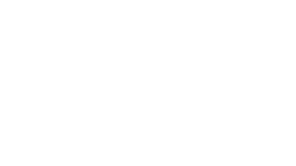 Franchise FastLane Logo
