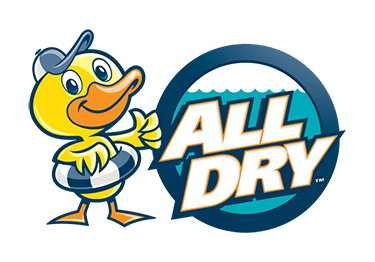 All Dry Franchise Brand Logo